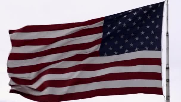 United States flag blowing in the breeze — Stock Video