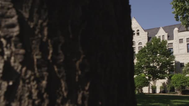 Dolly prise de vue panoramique de derrière un arbre au palais de justice de Nemaha . — Video