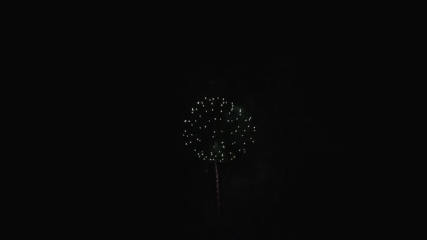 Spectacle de feux d'artifice sur ciel — Video