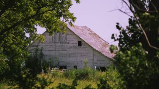 Static view of old white barn through the trees. — Stock Video