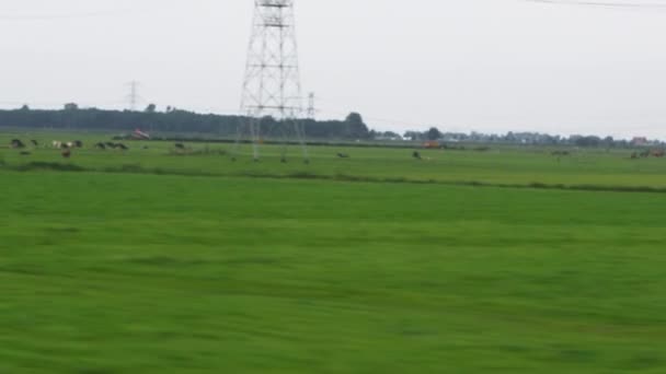 Hareket eden bir trenin üzerinden kırsal manzara — Stok video