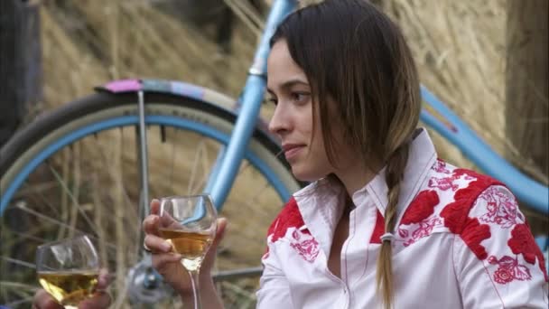 Couple enjoying wine at an outdoor picnic — Stock Video