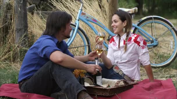 Couple having an outdoor picnic — Stock Video