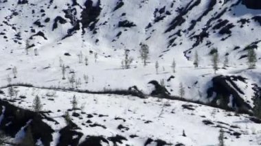 Alaska kar kaplı dağ.