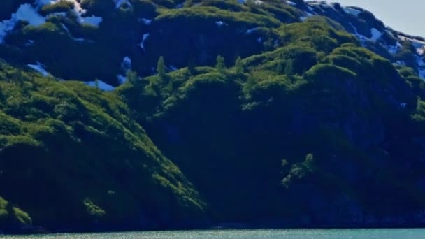 Groen en besneeuwde shore van Glacier Bay — Stockvideo