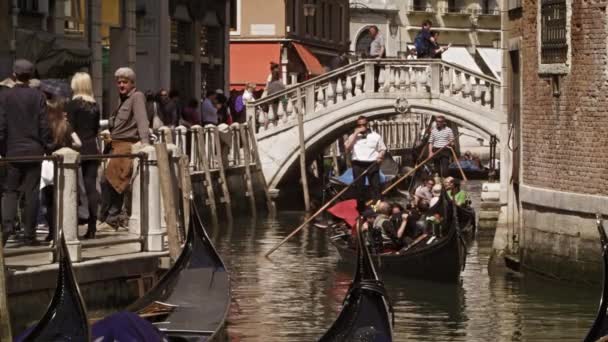 Gondolier góndola de buey bajo un puente en Venecia . — Vídeo de stock