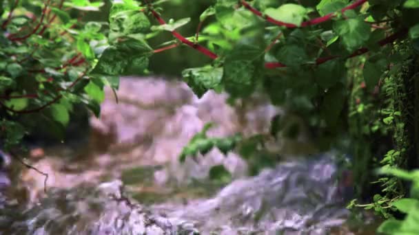 Water in een aquaduct in Israël — Stockvideo