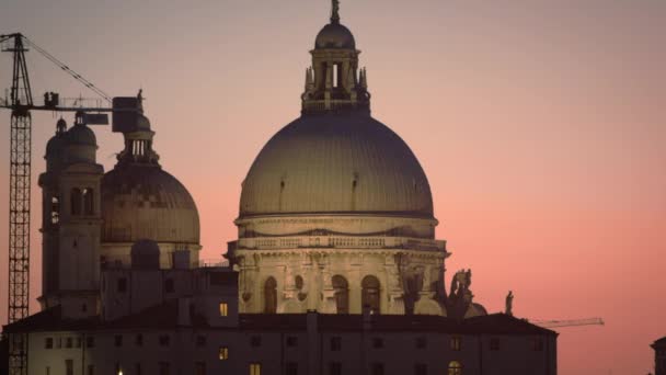 Statycznego ujęcia Santa Maria della Salute i ptak latający przez. — Wideo stockowe