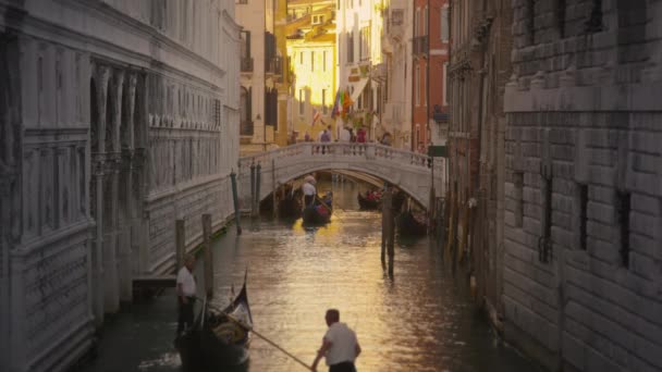 Girato di diverse gondole in un canale con un ponte . — Video Stock