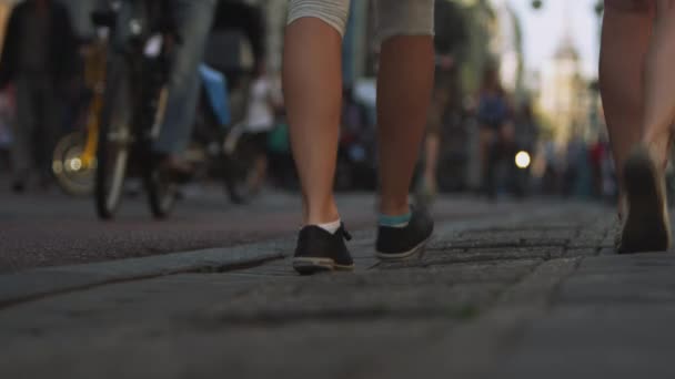 アムステルダムの歩道のクローズアップショット — ストック動画