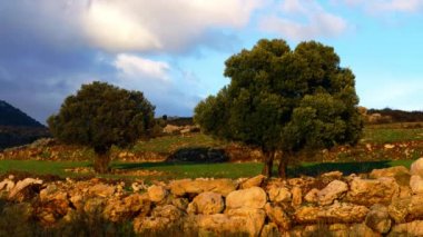İsrail pastoral hillside