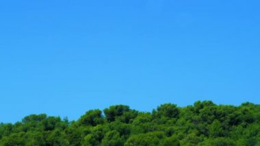 radyo kulesi İsrail bir ormanda