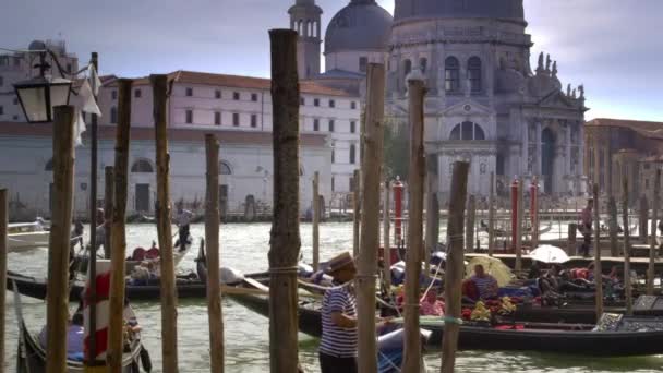 Gondoles dans la zone d'amarrage — Video