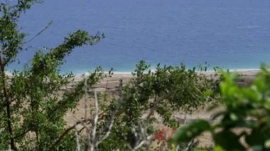 İsrail'de Ölü Deniz'de yeşillik vuruldu