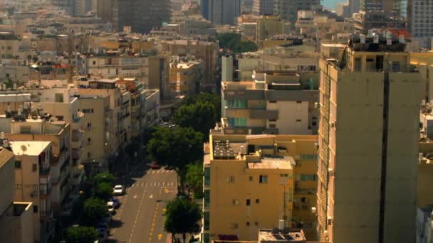 Árvore forrada rua em Tele Aviv — Vídeo de Stock