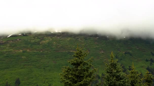 Bewolkt mist zweefde over de heuvel — Stockvideo