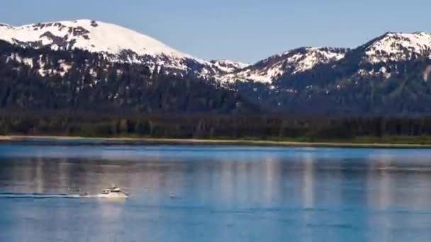 Schneebedecktes Alaska-Gebirge an der Gletscherbucht. — Stockvideo