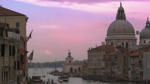 Gondola and boats near Santa Maria della Salute — Stock Video