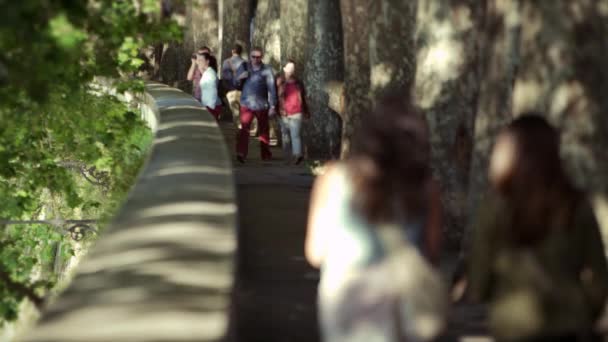 Caminhada arborizada em câmera lenta em Roma — Vídeo de Stock