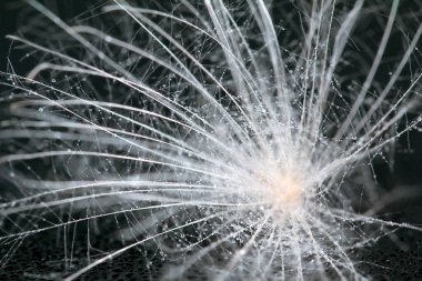 parlak soyut arkaplan resmi. makro fotoğrafçılık