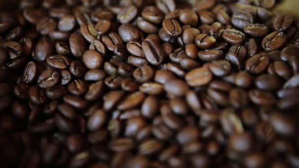 Primer plano de granos de café — Vídeos de Stock