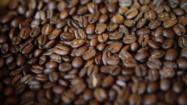 Szemes kávé a forgatható állvány Vértes — Stock videók