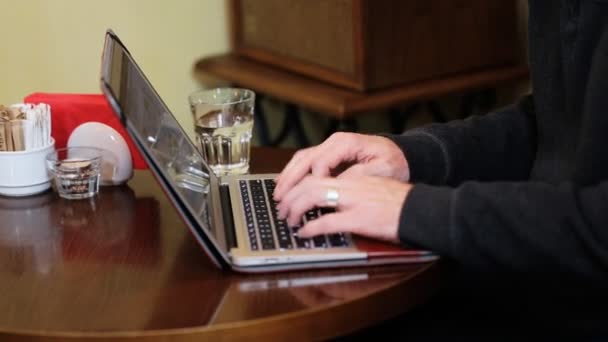 Female hands typing on the notebook — Stock Video