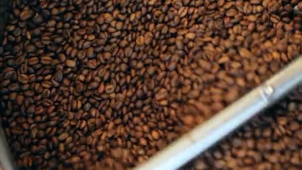 Torrador de café tradicional refrigerando grãos de café torrados frescos — Vídeo de Stock