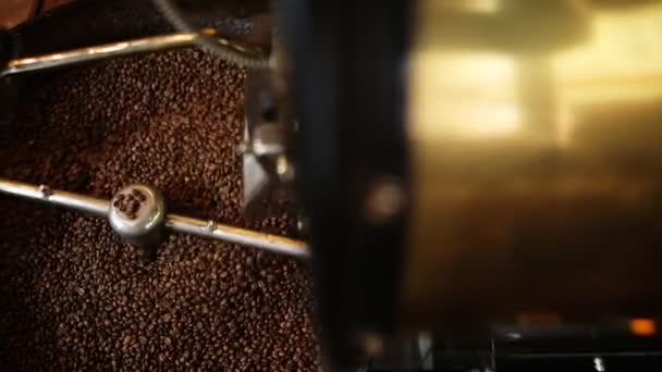 Los granos de café recién tostados de un gran tostador de café que se vierte en el cilindro de enfriamiento. Persona comprueba la calidad . — Vídeos de Stock