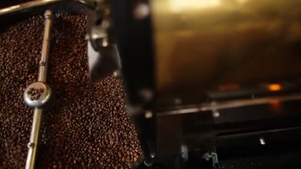 Mixing roasted coffee. — Stock Video