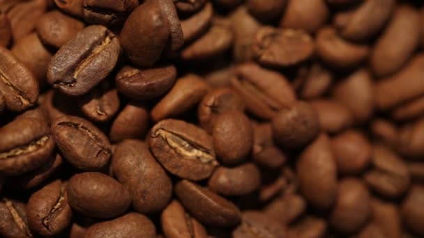 Macro dolly shot of coffee beans. Find similar clips in our portfolio. — Stock Video