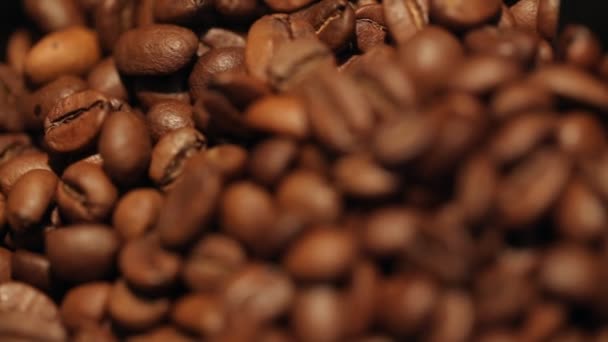 Feijões de café Câmera deslizante — Vídeo de Stock