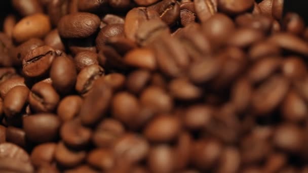 Café frijoles cámara deslizante — Vídeos de Stock