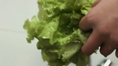 Hangi eller bir lavaboda yıkama vardır yakın çekim görüntüleri marul yaprakları.