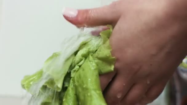 I filmati ravvicinati delle foglie di lattuga vengono lavati in un lavandino della cucina . — Video Stock