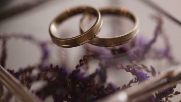 Close up of gold wedding rings on purple flowers backround. — Stock Video