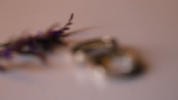 Close up of gold wedding rings on purple flowers backround. — Stock Video