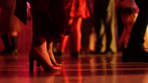 Close up van de benen van vrouw professioneel danser plezier op de night club. — Stockvideo