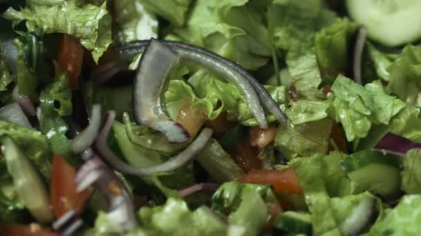 制备的健康和美味蔬菜沙拉 flavouredwith 意大利橄榄油油和盐治疗. — 图库视频影像