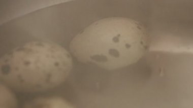 Bıldırcın yumurtası gaz hob kaynar suda hazırlama paslanmaz çelik tencere putten.