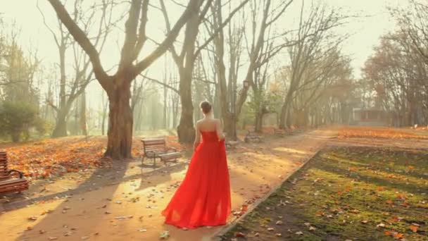 Bela jovem senhora vestindo incrível vestido vermelho passeio no parque no outono  . — Vídeo de Stock