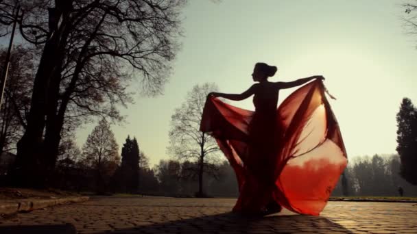 Eine Dame von unglaublicher Schönheit posiert vor der Kamera in einem wunderschönen grünen Park. — Stockvideo