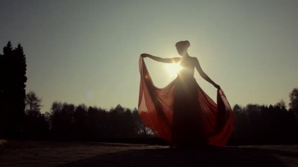 Jovem modelo sexy em um vestido vermelho longo muito bonito posando na câmera em um parque . — Vídeo de Stock