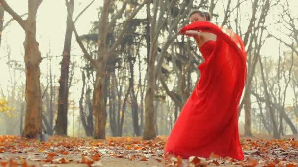 美しい若いモデル身に着けている長い夜赤いドレスは、プロのカメラでポーズ. — ストック動画