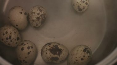Bir gaz hob bıldırcın yumurtası bir paslanmaz çelik içinde kaynamış su pişirme pan .