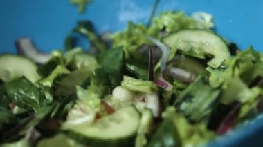 Taze lezzetli yeşil salatalık yapılan lezzetli sebze salatası marul yaprakları, kırmızı soğan ve domates, tuz ile tedavi.