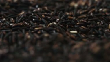 Kuru siyah organik tuzlu Ayçekirdeği arka planı kapat.