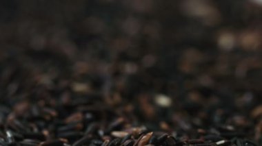 Çiğ siyah pirinç tahıl yığını çevresinde döndürme