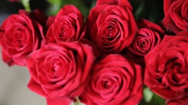 Güzel kırmızı gül buketi.