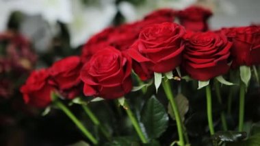 Şaşırtıcı kırmızı gül buketi.